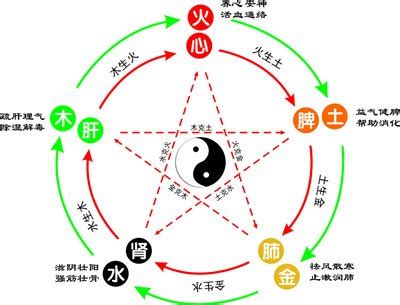 泽的五行|泽字的五行属什么